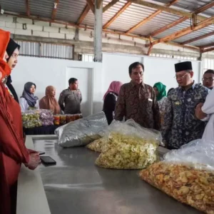 Pj Wali Kota Batu Hadiri Launching Keripik Buah Produksi UMKM Pj Wali Kota Batu Hadiri Launching Keripik Buah Produksi UMKM