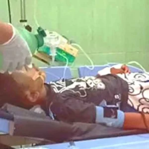 Siswa SD Kritis Akibat Tertimpa Pohon Karet