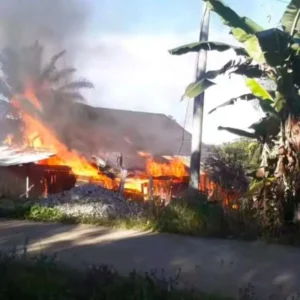 Ditinggal Kerja, Rumah Warga Ulok Kupai Habis Dilahap Si Jago Merah Ditinggal Kerja, Rumah Warga Ulok Kupai Habis Dilahap Si Jago Merah