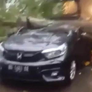 Badai Terjang Kota Bengkulu, 1 Unit Mobil Ditimpa Pohon Ibu dan Anak Meninggal Badai Terjang Kota Bengkulu, 1 Unit Mobil Ditimpa Pohon Ibu dan Anak Meninggal
