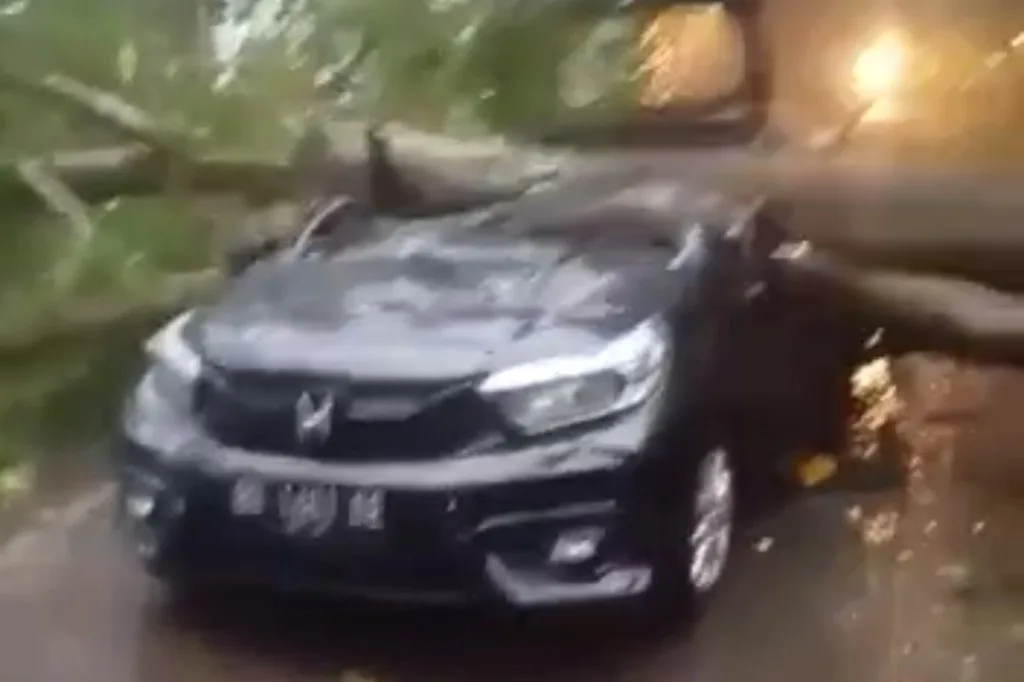 Badai Terjang Kota Bengkulu, 1 Unit Mobil Ditimpa Pohon Ibu dan Anak Meninggal