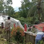 Green House Hancur Ditimpa Pohon, Warga: Pihak SMPN 17 Sudah Berulangkali Diingatkan