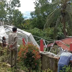Green House Hancur Ditimpa Pohon, Warga: Pihak SMPN 17 Sudah Berulangkali Diingatkan Green House Hancur Ditimpa Pohon, Warga: Pihak SMPN 17 Sudah Berulangkali Diingatkan