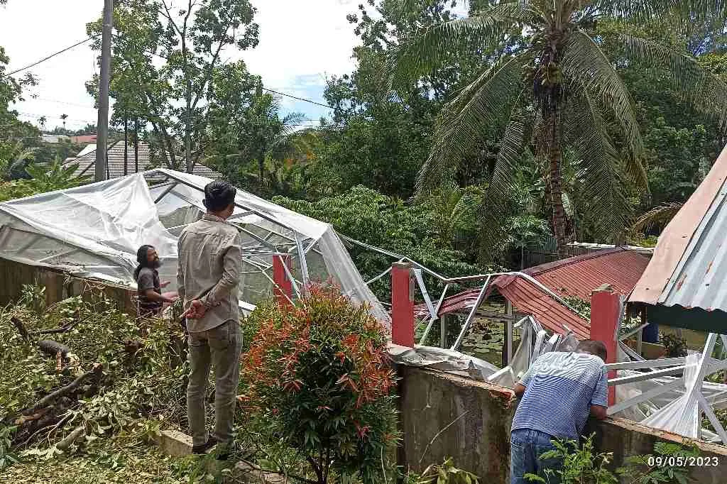 Green House Hancur Ditimpa Pohon, Warga: Pihak SMPN 17 Sudah Berulangkali Diingatkan