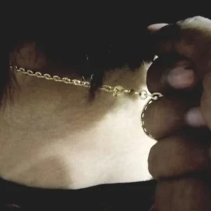 Janda di Bengkulu Utara Jadi Korban Curas, Pelaku Rampas Kalung di Dalam Rumah Janda di Bengkulu Utara Jadi Korban Curas, Pelaku Rampas Kalung di Dalam Rumah