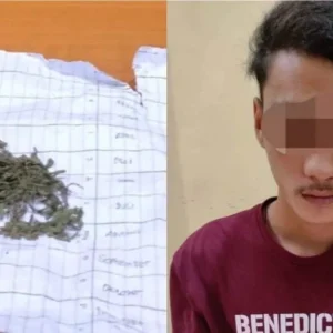 Simpan Ganja, Mahasiswa Asal Lebong ini Diciduk Polisi