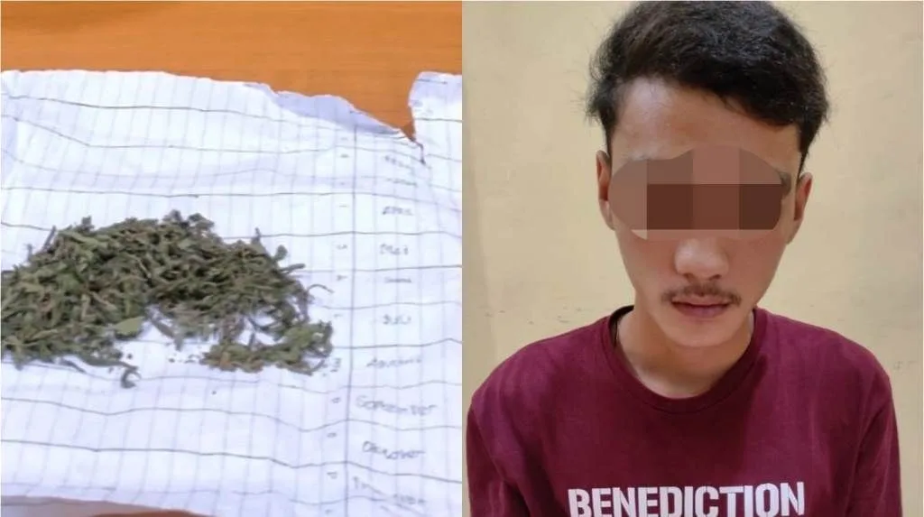 Simpan Ganja, Mahasiswa Asal Lebong ini Diciduk Polisi
