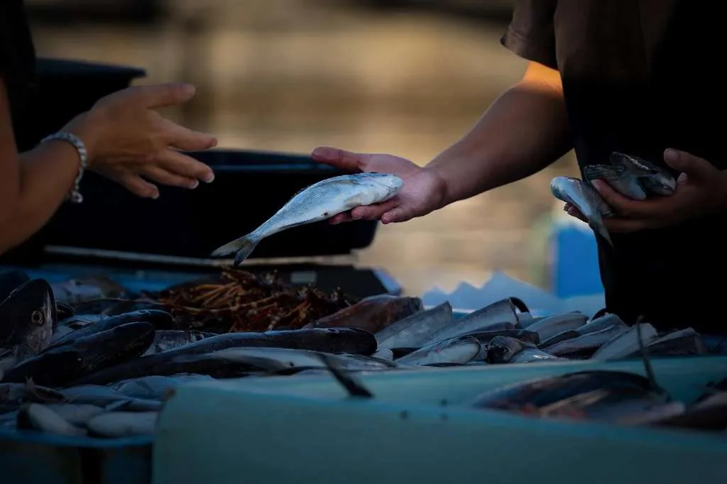 Alami Kenaikan Tajam, Cek di Sini Harga Ikan di Wilayah Jawa Timur