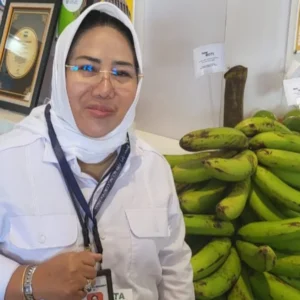 Antisipasi Krisis Pangan Dampak El Nino, Pemerintah Perkuat Ketahanan Pangan Lewat KUR untuk Petani