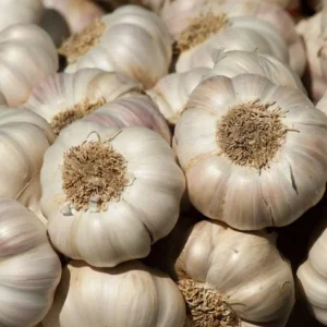 Bawang Putih Alami Kenaikan di Pasar Seluma, Cek Harganya di Sini Bawang Putih Alami Kenaikan di Pasar Seluma, Cek Harganya di Sini