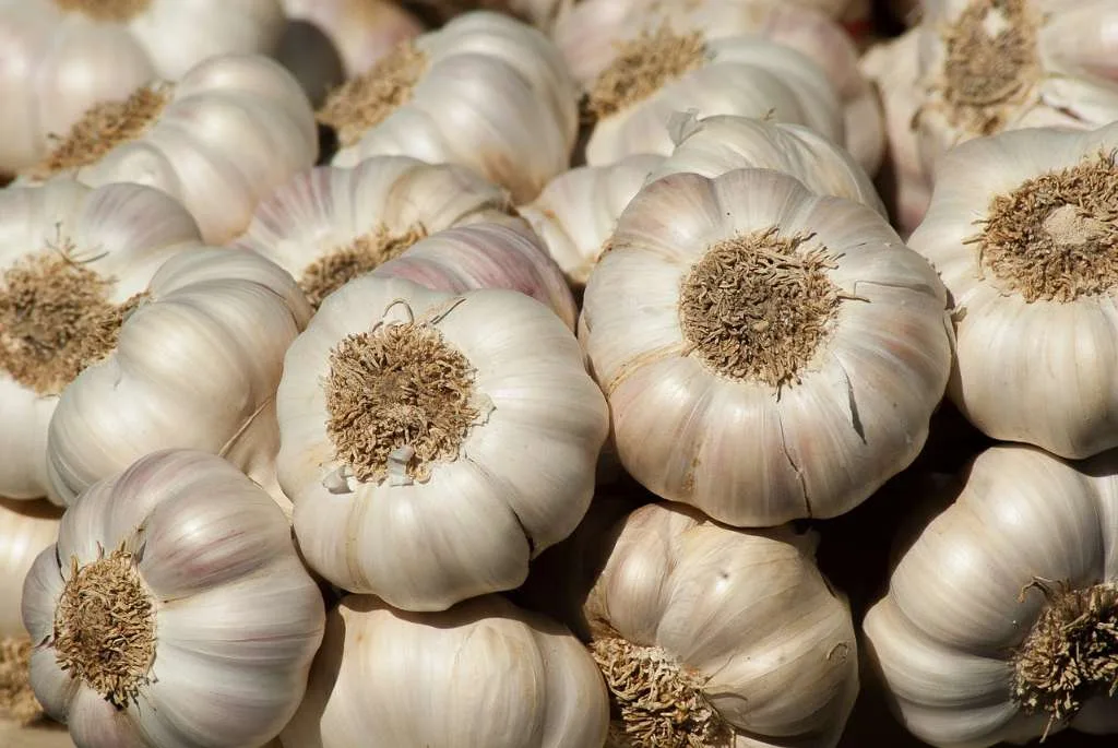 Bawang Putih Alami Kenaikan di Pasar Seluma, Cek Harganya di Sini