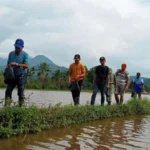 Bupati Kopli Ansori Kembali Ajak Petani Kendalikan Hama Tikus