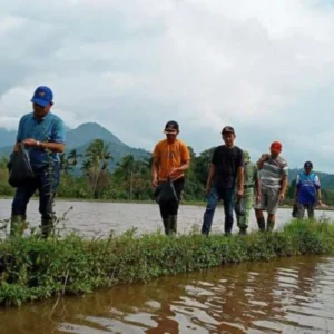 Bupati Kopli Ansori Kembali Ajak Petani Kendalikan Hama Tikus
