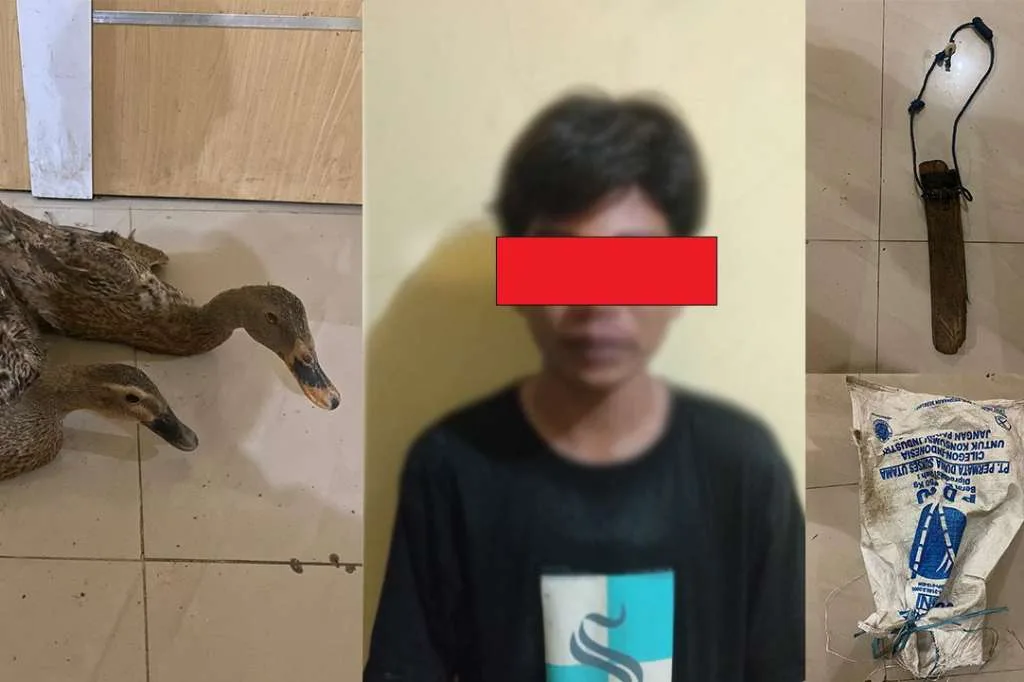 Curi Bebek, Remaja 14 Tahun Diamankan Warga dan Laporkan ke Polisi