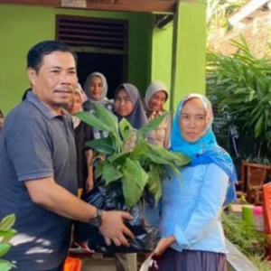 Dukung Program Ketahanan Pangan, Usin: Ayo Tanam Pisang