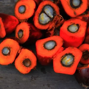 Harga CPO Terpantau Menguat di Sesi Awal Perdagangan