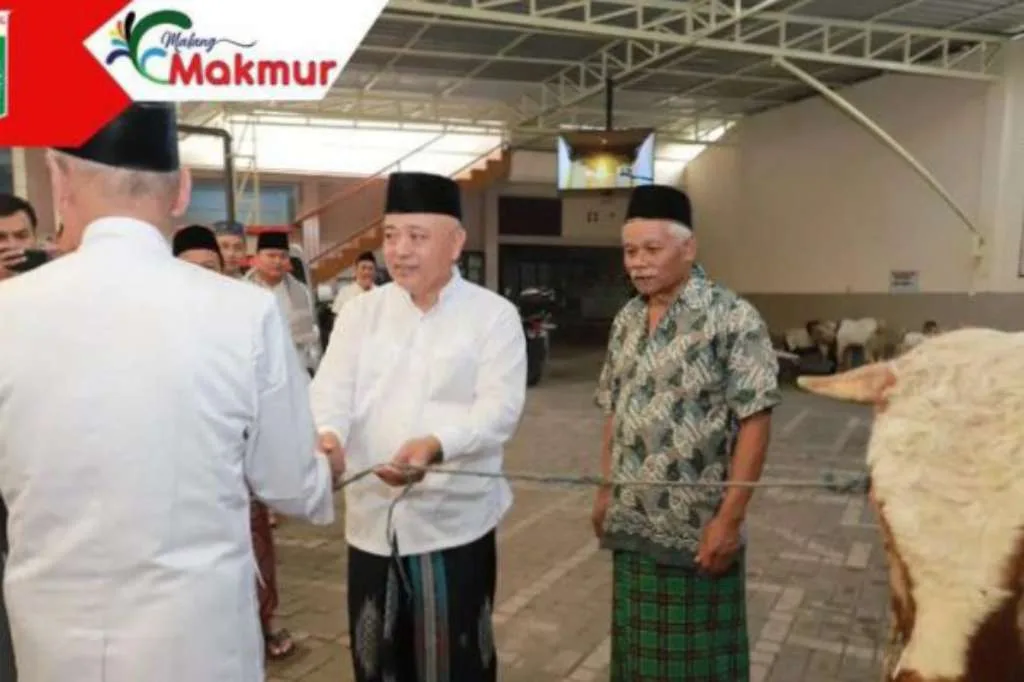 Idul Adha 1444 Hijriah, Bupati Malang Serahkan 2 Ekor Sapi Qurban