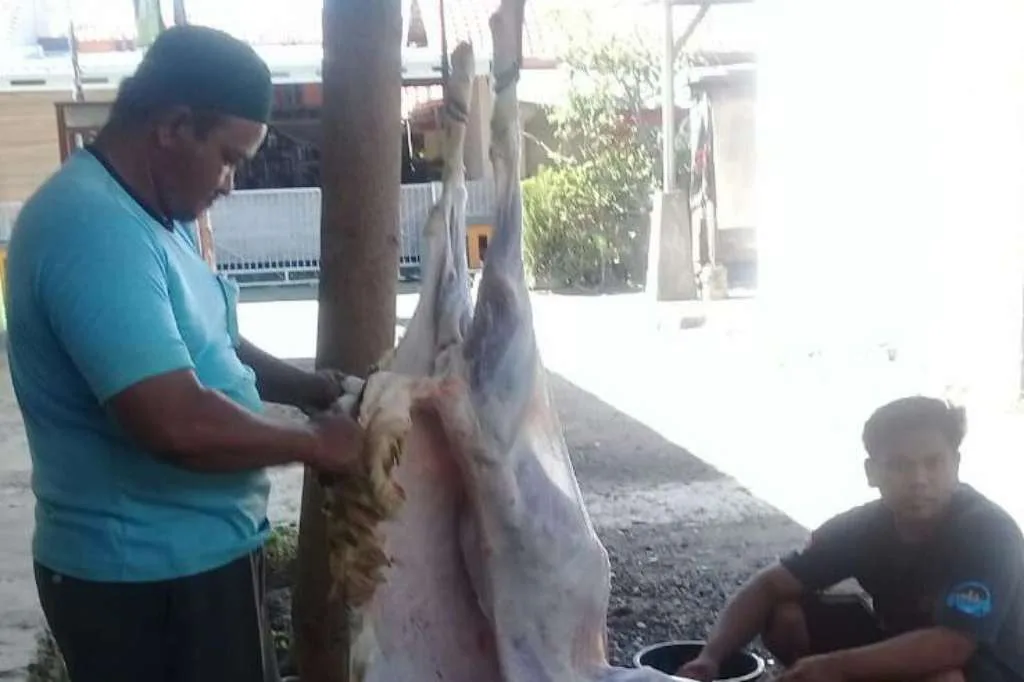 Komunitas NDASMUMET Brebes Salurkan Hewan Kurban Pemda ke Kampung Pesanggrahan
