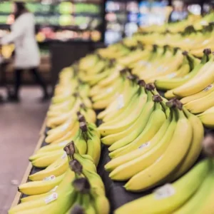 Mengapa Buah Pisang Penting untuk Energi dan Keseimbangan Gizi Mengapa Buah Pisang Penting untuk Energi dan Keseimbangan Gizi