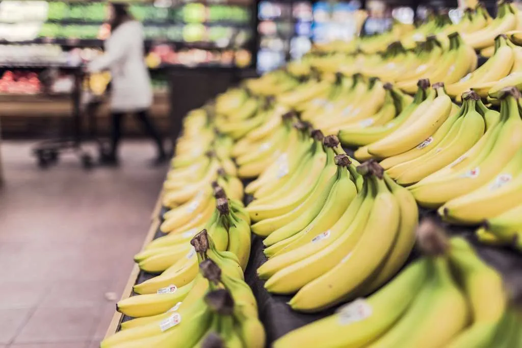Mengapa Buah Pisang Penting untuk Energi dan Keseimbangan Gizi