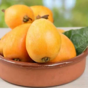 Mengenal Buah Loquat dan Khasiatnya