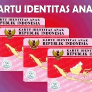 Program Berjalan Sukses, Pemilik KIA di Kota Bengkulu Terus Alami Peningkatan Program Berjalan Sukses, Pemilik KIA di Kota Bengkulu Terus Alami Peningkatan