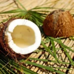Sempat Turun, Cek Harga Buah Kelapa di Kota Ternate