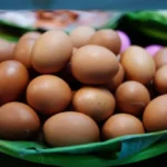 Tambah Indukan Ayam, Harga Telur Diprediksi Turun