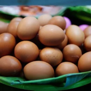 Tambah Indukan Ayam, Harga Telur Diprediksi Turun