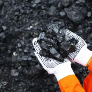 Akibat Gelombang Panas, Harga Batu Bara Terus Melambung Tinggi