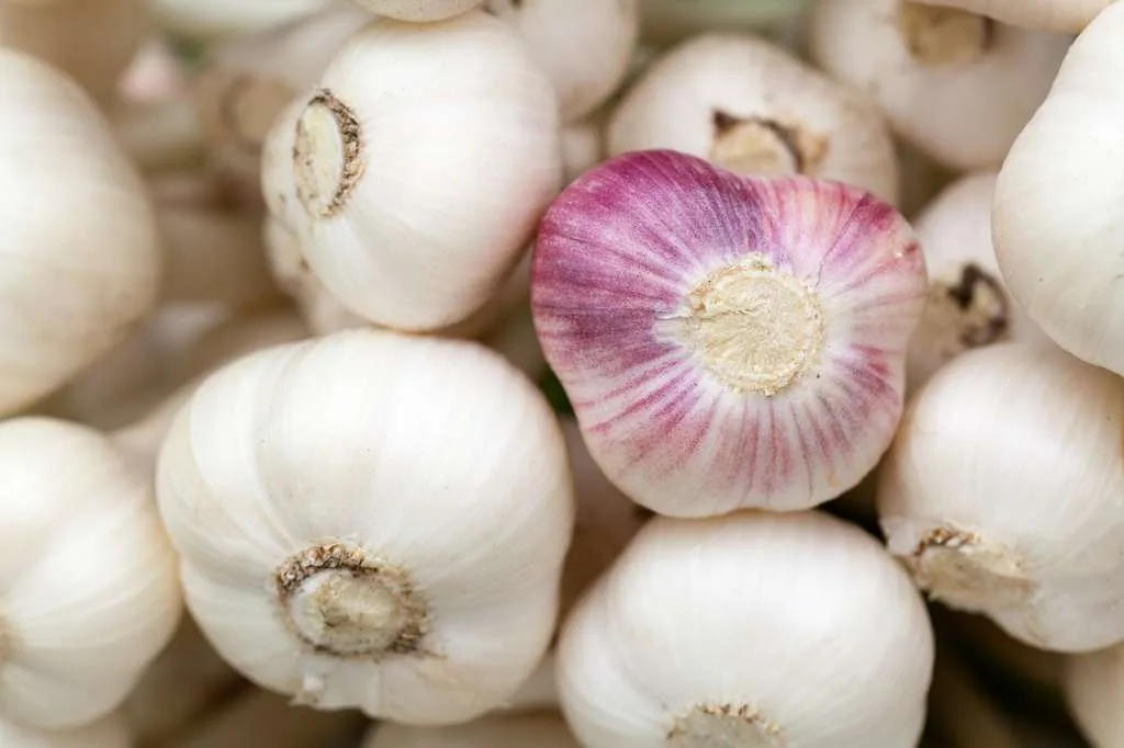 Bawang Alami Kenaikan, Cek Harga Pangan di Sini