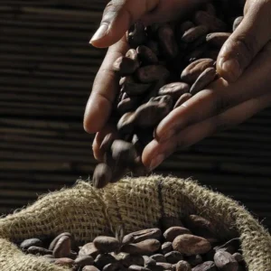 Dipengaruhi Cuaca Brazil, Harga Kopi, Gula dan Kakao Beragam