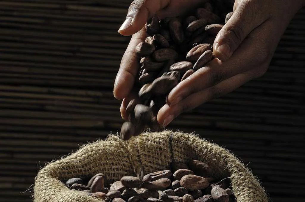 Dipengaruhi Cuaca Brazil, Harga Kopi, Gula dan Kakao Beragam