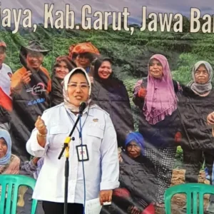 Direktur Pembiayaan Pertanian Tinjau Langsung Panen Porang di Garut Direktur Pembiayaan Pertanian Tinjau Langsung Panen Porang di Garut
