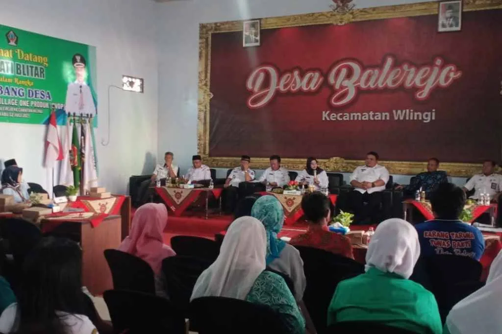 Dorong Ekonomi Desa Melalui UMKM, Pemkab Blitar Luncurkan Program OVOP