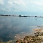 LPRI Soroti Pembungan limbah Tambak Udang di Kaur