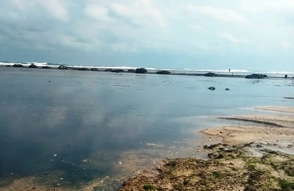 LPRI Soroti Pembungan limbah Tambak Udang di Kaur