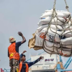 Harga Beras di Indonesia Berpotensi Naik, Ini Penyebabnya Pemerintah Sukses Tekan Inflasi Beras Melalui Bantuan Pangan dan Operasi Pasar Skandal Mark Up Impor Beras, DPR Desak KPK Segera Usut Produksi Pangan Meningkat, Prabowo Pastikan Stop Impor Beras 2025