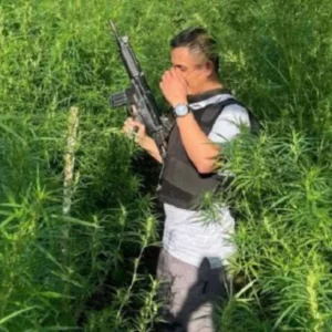 Jaga Ladang Ganja 1,5 Hektare, Petani Rejang Lebong Ditangkap Polisi