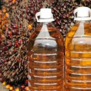 Karena Hal Ini Harga CPO Kembali Melesat