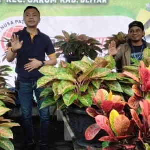 Optimis Bakal Tren Lagi, Pecinta Tanaman Hias di Blitar Gelar Bursa dan Kontes Optimis Bakal Tren Lagi, Pecinta Tanaman Hias di Blitar Gelar Bursa dan Kontes