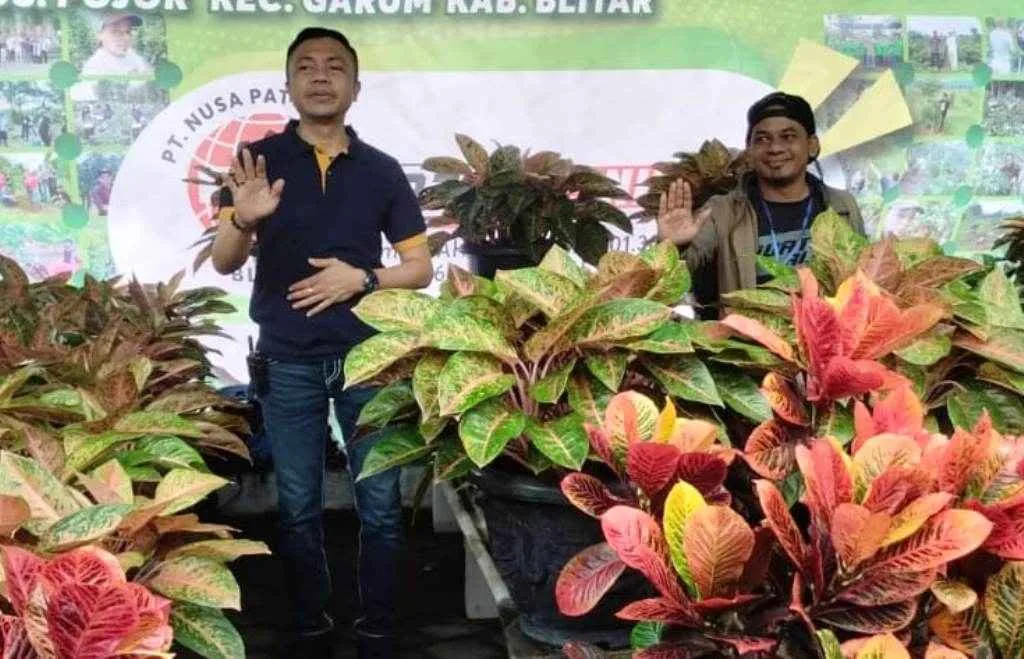 Optimis Bakal Tren Lagi, Pecinta Tanaman Hias di Blitar Gelar Bursa dan Kontes