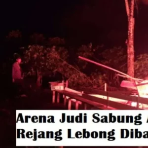 Penggerebekan Arena Judi Sabung Ayam Gegerkan Warga Dusun Curup