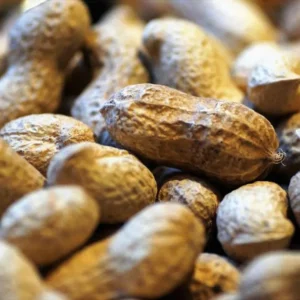 Simak Harga Kacang Tanah Berbagai Daerah di Jawa Timur di Sini