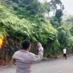 Diduga Karena Putung Rokok, Lahan di Lebong Terbakar
