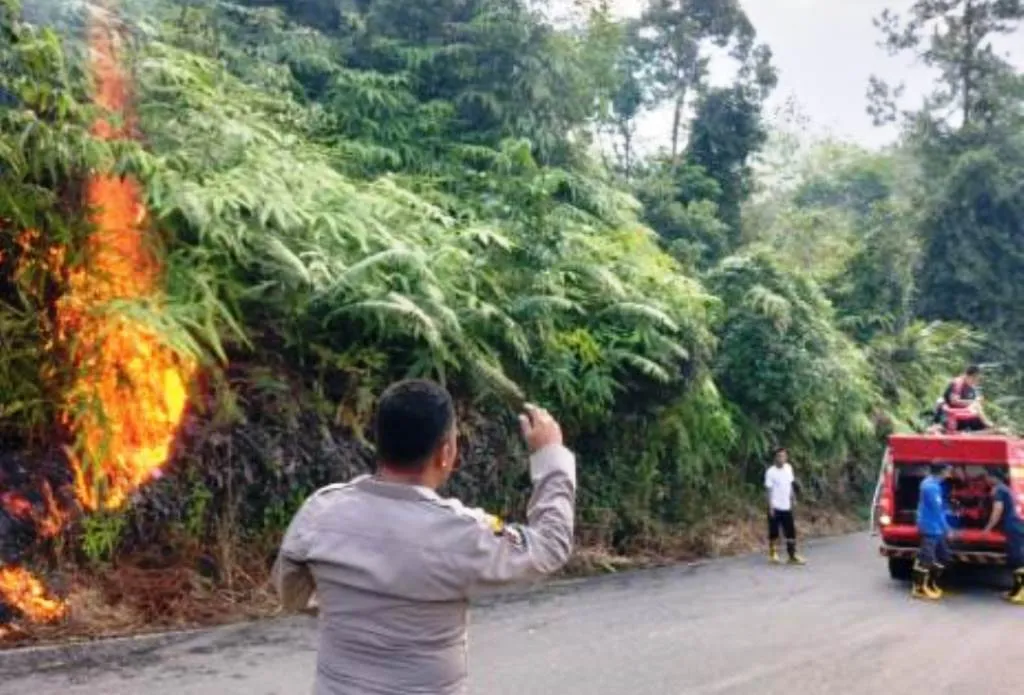 Diduga Karena Putung Rokok, Lahan di Lebong Terbakar