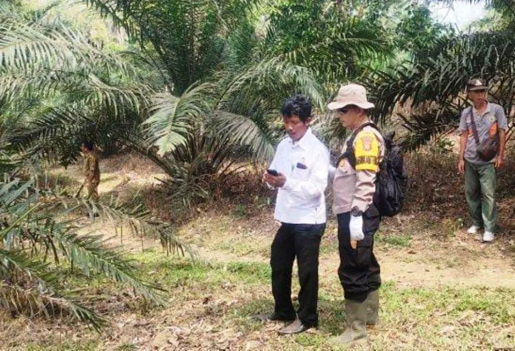 Harimau Sumatera Muncul, Warga Bengkulu Selatan Cemas
