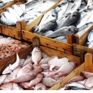 Musim Angin Kumbang, Harga Ikan Melambung di Pekalongan