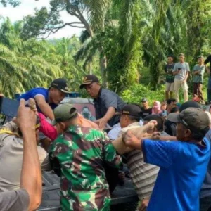 Naas, Ibu dan Anak Ditemukan Tewas Tekapar di Pinggir Jalan