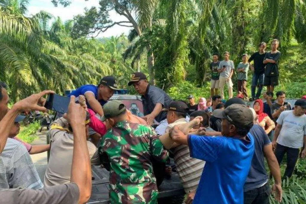 Naas, Ibu dan Anak Ditemukan Tewas Tekapar di Pinggir Jalan